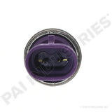 RSW-0969 Mack Switch | PAI