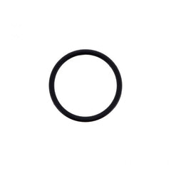 O-RING (Pack of 10)