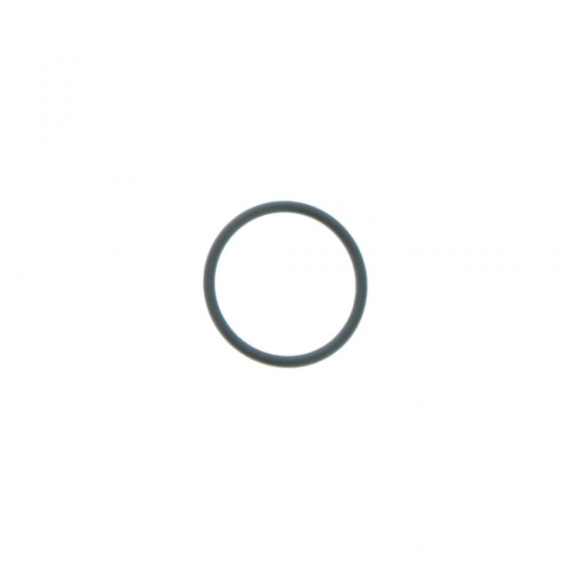 O-RING (Pack of 10)