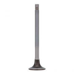Cummins EXHAUST VALVE (Pack of 2)