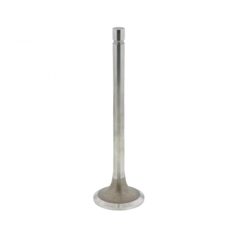 191962E Cummins EXHAUST VALVE (Pack of 2)