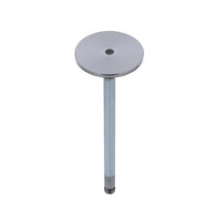 INTAKE VALVE (Pack of 2)