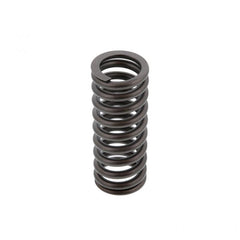VALVE SPRING