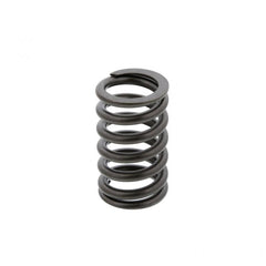 VALVE SPRING