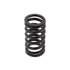 VALVE SPRING