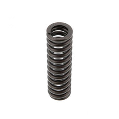 VALVE SPRING