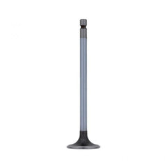 INTAKE VALVE (Pack of 2)