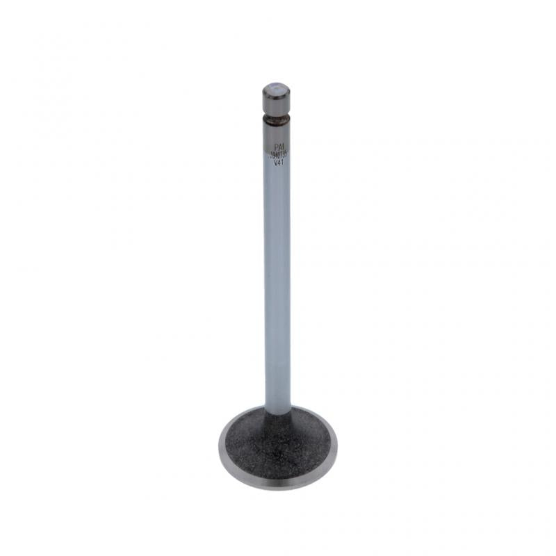 INTAKE VALVE (Pack of 2)
