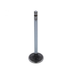 INTAKE VALVE (Pack of 2)