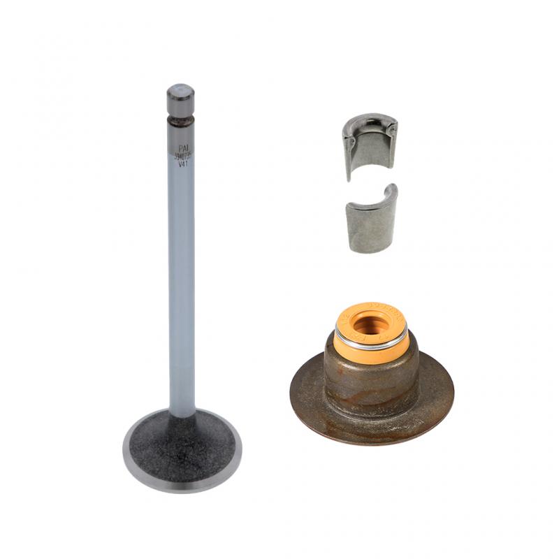INTAKE VALVE KIT (Pack of 2)