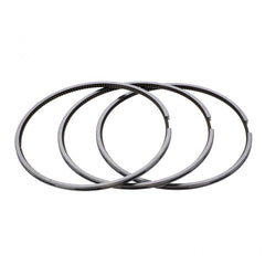 OIL CONTROL PISTON RING