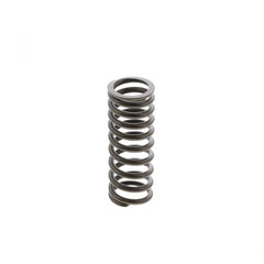 INNER VALVE SPRING
