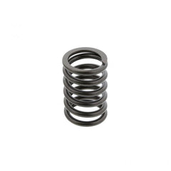 VALVE SPRING