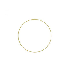 International / Navistar LINER SHIM (Pack of 6)
