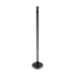 EXHAUST VALVE KIT