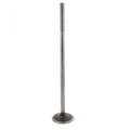Detroit DIESEL DD15 ENGINE INTAKE VALVE (Pack of 2)