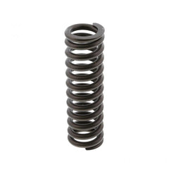 VALVE SPRING