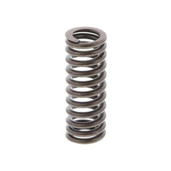 VALVE SPRING