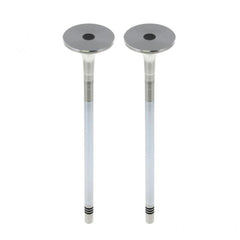 Mack EXHAUST VALVE (Pack of 2)