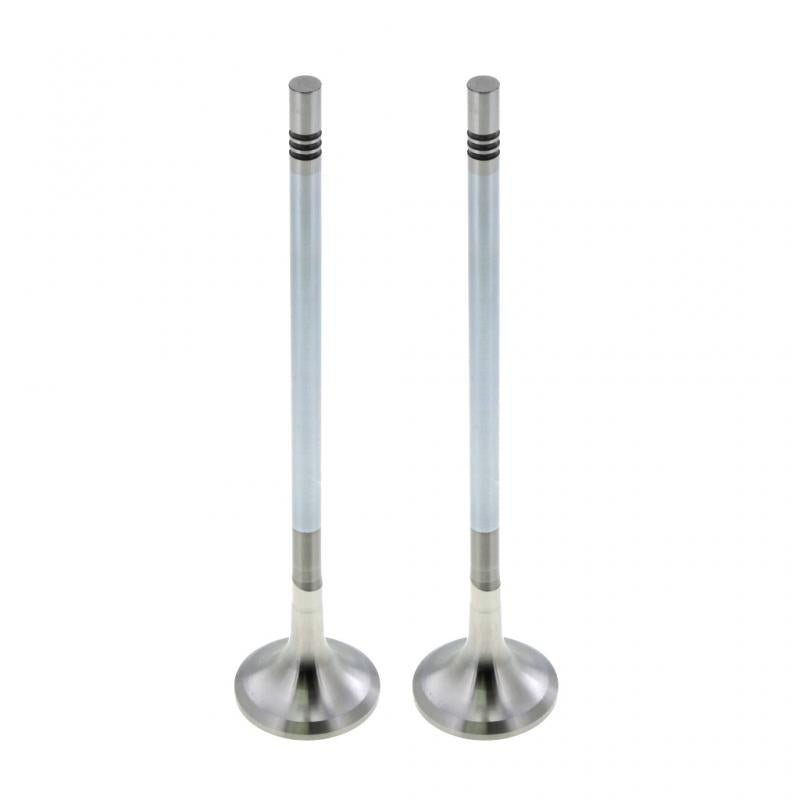 Mack EXHAUST VALVE (Pack of 2)