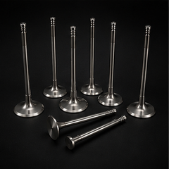 INTAKE VALVE